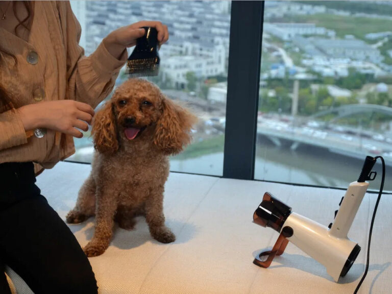 Household Ionic Hair Dryer